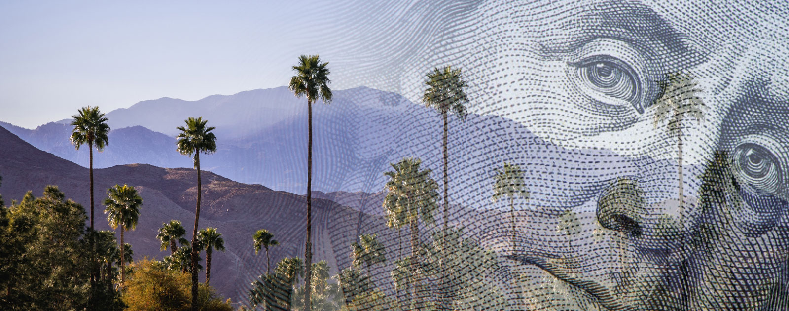 palm trees and mountains with an image of money overlaid